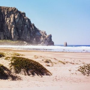 Meet your Posher, Evinn